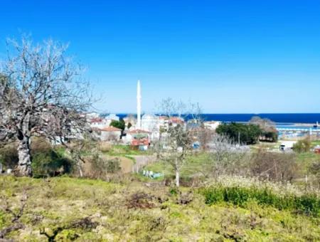 Tekirdağ Süleymanpaşa Barbaros Mahallesinde Asyaport Limanına 100  Metre Yakınlıkta Arsa