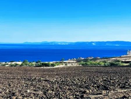 Tekirdağ Barbarosta Acil Satılık 50 Dairelik Kooparetif Ve Ste Yapmaya Uygun Kupon Yer