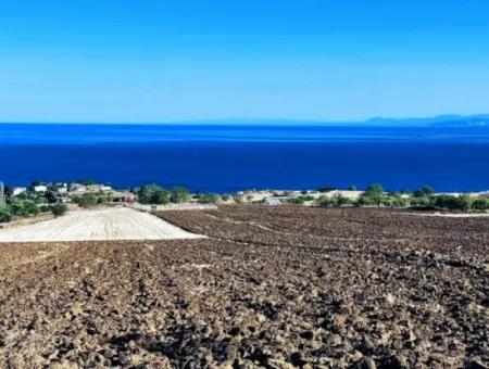 Tekirdağ Barbarosta Acil Satılık 50 Dairelik Kooparetif Ve Ste Yapmaya Uygun Kupon Yer