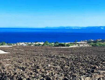 Tekirdağ Barbarosta Acil Satılık 50 Dairelik Kooparetif Ve Ste Yapmaya Uygun Kupon Yer