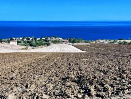 Tekirdağ Barbarosta Acil Satılık 50 Dairelik Kooparetif Ve Ste Yapmaya Uygun Kupon Yer