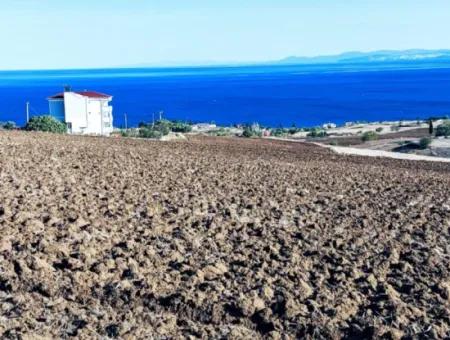 Tekirdağ Barbarosta Acil Satılık 50 Dairelik Kooparetif Ve Ste Yapmaya Uygun Kupon Yer