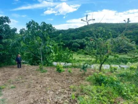 Tekirdağ Avşar Mahallesinde Acil Satılık 2.820 M2 Doğa İçinde Tıny House Koymaya Müsait Kupon Yer