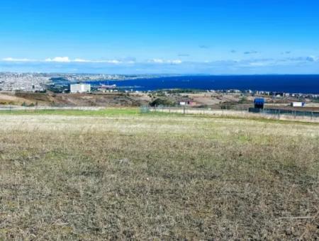 Tekirdağ Barbarosta'da Acil Satılık, 15.000 M2 Villa İmarlı Tarla!