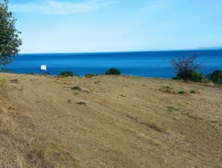 Tekirdağ Barbarosta Harika Deniz Manzaralı Müstakil Evinizi Yapmaya Uygun Acil Satılık Kupon Arsa