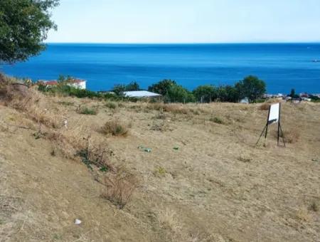 Tekirdağ Barbarosta Harika Deniz Manzaralı Müstakil Evinizi Yapmaya Uygun Acil Satılık Kupon Arsa