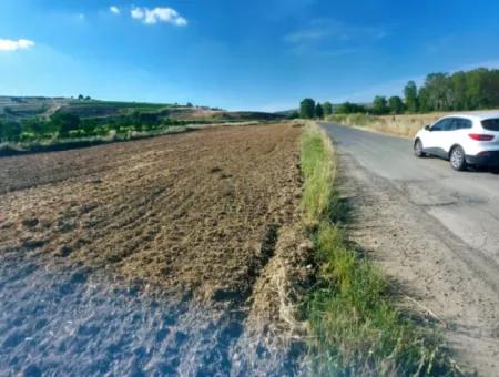 Tekirdağ Naip Mahallesinde Acil Satılık Anayol Cepheli Tıny House Kurmak İçin Harika Fırsat Tarla