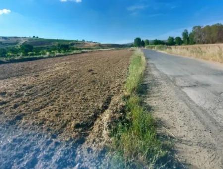 Tekirdağ Naip Mahallesinde Acil Satılık Anayol Cepheli Tıny House Kurmak İçin Harika Fırsat Tarla