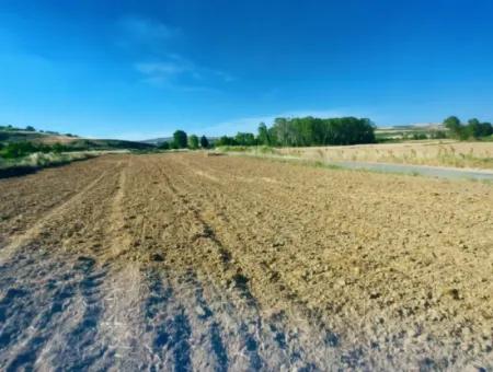 Tekirdağ Naip Mahallesinde Acil Satılık Anayol Cepheli Tıny House Kurmak İçin Harika Fırsat Tarla