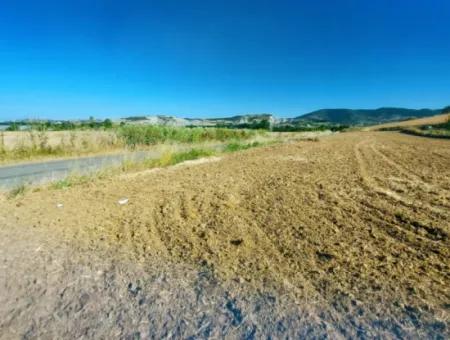 Tekirdağ Naip Mahallesinde Acil Satılık Anayol Cepheli Tıny House Kurmak İçin Harika Fırsat Tarla