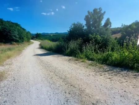 Tekirdağ Çanakçı Mahallesinde Acil Satılık Doğa Meraklılarına Tıny House Koymaya Uygun Anayol Cepheli Kupon Tarla