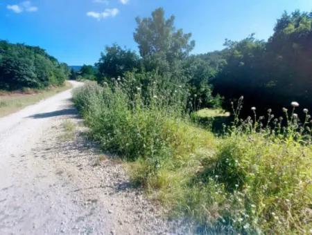 Tekirdağ Çanakçı Mahallesinde Acil Satılık Doğa Meraklılarına Tıny House Koymaya Uygun Anayol Cepheli Kupon Tarla