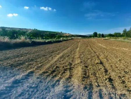 Tekirdağ Naip Mahallesinde Acil Satılık Anayol Cepheli Tıny House Koymaya Uygun Kupon Tarla