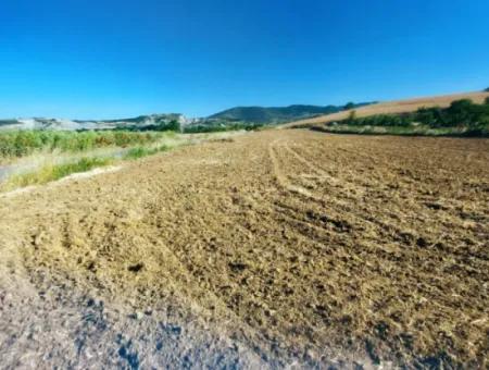 Tekirdağ Naip Mahallesinde Acil Satılık Anayol Cepheli Tıny House Koymaya Uygun Kupon Tarla