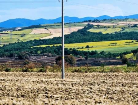 Tekirdağ Aşağkılıçlı Mah. Anayol Cepheli 2.340 M2 Al - Sata Uygun Yüksek Kazanç Vaaed Eden Acil Satılık Kupon Tarla