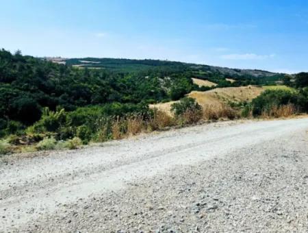 Tekirdağ Çanakçı Mahallesinde Kazançlı Yatırım Yapmak İsteyenler İçin Acil Satılık Kelepir Kopon Tarla