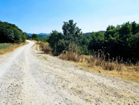 Tekirdağ Çanakçı Mahallesinde Acil Satılık Doğa Meraklılarına Tıny House Koymaya Uygun Anayol Cepheli Kupon Tarla