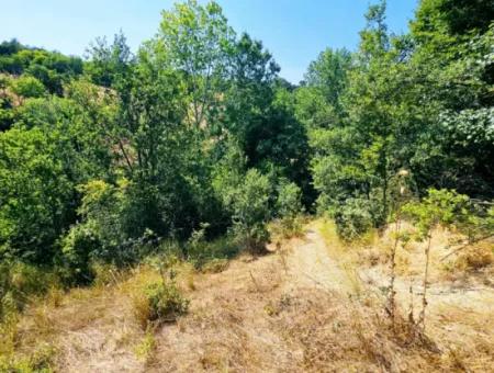 Tekirdağ Çanakçı Mahallesinde Acil Satılık Doğa Meraklılarına Tıny House Koymaya Uygun Anayol Cepheli Kupon Tarla