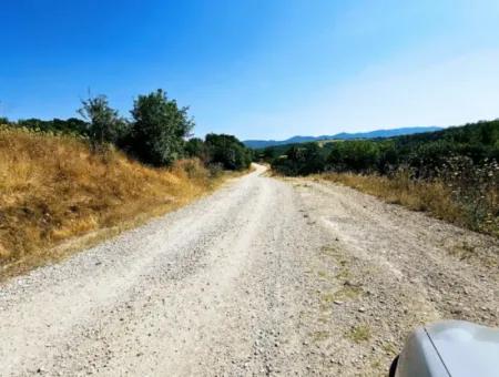 Tekirdağ Çanakçı Mahallesinde Acil Satılık Doğa Meraklılarına Tıny House Koymaya Uygun Anayol Cepheli Kupon Tarla