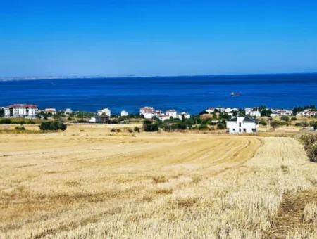 Tekirdağ Barbarosta Hayel Ettiğiniz Müstakil Ev Yapmaya Uygun Acil Satılık Kupon Arsa