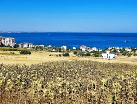 Tekirdağ Barbarosta Hayel Ettiğiniz Müstakil Ev Yapmaya Uygun Acil Satılık Kupon Arsa