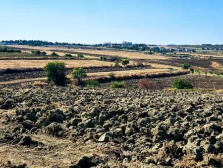 Tekirdağ Barbarosta Acil Satılık 2.650 M2 Villa İmarlı Yatırıma Uygun Kupon Tarla