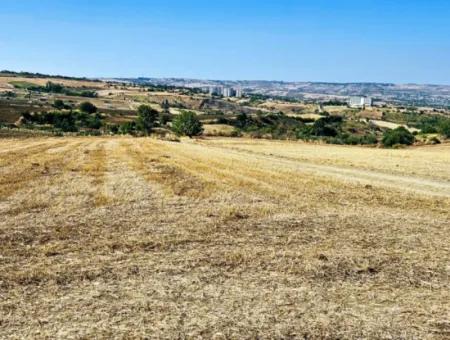 Tekirdağ Barbarosta Acil Satılık 2.650 M2 Villa İmarlı Yatırıma Uygun Kupon Tarla