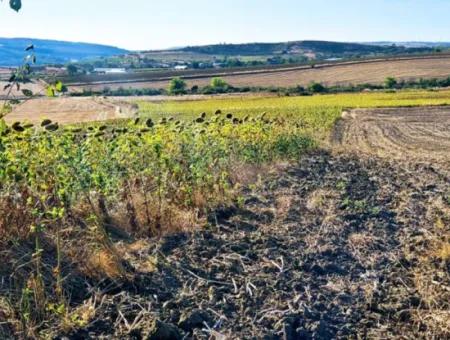 Asyaport Limanı Mevcut İmara Çok Yakın Yatırımlık Yapmak İsteyenler İçin Kaçırılmayacak Fırsat Arazi