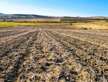 Asyaport Limanı Mevcut İmara Çok Yakın Yatırımlık Yapmak İsteyenler İçin Kaçırılmayacak Fırsat Arazi