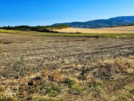 Asyaport Limanı Mevcut İmara Çok Yakın Acil Satılık 17.350 M2 Kelepir Yatırımlık Kupon Tarla