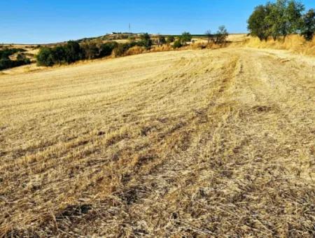 Azyaport Limanı Mevcut İmara Yakın 16.100 Acil Satılık Yatırımlık Kelepir Kupon Tarla